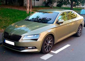 Образец цвета LF6E ZELENA ARMY/MENTHOL GREY/ARMY GREEN на автомобиле - №2