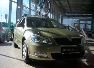 Образец цвета LF6E ZELENA ARMY/MENTHOL GREY/ARMY GREEN на автомобиле - №3