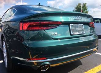 Образец цвета LX6W GOTLANDGRUEN на автомобиле - №2