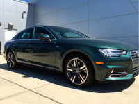 AUDI LX6W, Q6, Q6Q6, X6W | GOTLANDGRUEN (GOTLAND GREEN, GOTTLANDGRUEN, 哥特兰绿, 礦野綠) 2