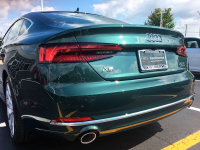 AUDI LX6W, Q6, Q6Q6, X6W | GOTLANDGRUEN (GOTLAND GREEN, GOTTLANDGRUEN, 哥特兰绿, 礦野綠) 4