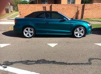 Образец цвета LZ6P GOMERAGRUEN на автомобиле - №3