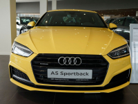 AUDI LY1H, 9N, 9N9N, Y1H | TUKANGELB (AMARILLO TUKAN, TUKAN YELLOW, TOUCAN YELLOW, TUKAN GELB) 5