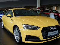 AUDI LY1H, 9N, 9N9N, Y1H | TUKANGELB (AMARILLO TUKAN, TUKAN YELLOW, TOUCAN YELLOW, TUKAN GELB) 6