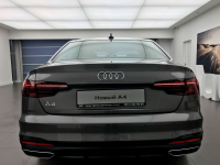 AUDI LX7H, X7H, Z8, Z8Z8 | TERRAGRAU (TERRA GRAY) 6