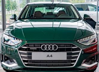 Образец цвета LZ6X GOODWOODGRUEN на автомобиле - №0