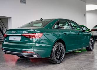 Образец цвета LZ6X GOODWOODGRUEN на автомобиле - №2