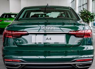 Образец цвета LZ6X GOODWOODGRUEN на автомобиле - №3