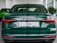 AUDI LZ6X, 6T, 6T6T, Z6X | GOODWOODGRUEN (GOODWOOD GREEN, VERDE GOODWOOD) 5