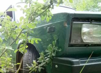 Образец цвета 352 КЕДР на автомобиле - №0