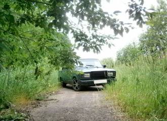 Образец цвета 352 КЕДР на автомобиле - №2