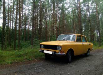 Образец цвета 240 МИМОЗА на автомобиле - №0