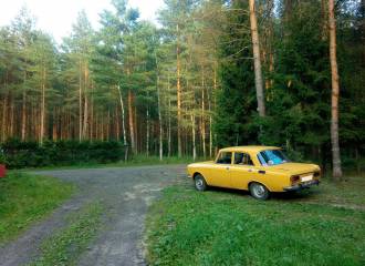 Образец цвета 240 МИМОЗА на автомобиле - №1