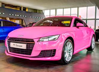 Образец цвета RAL 4003 ERIKAVIOLETT на автомобиле - №1