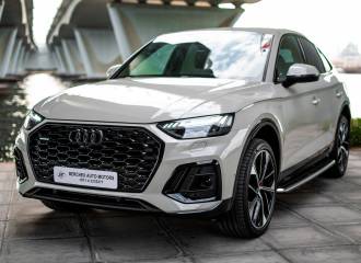 Образец цвета LZ1W SIAMBEIGE на автомобиле - №1