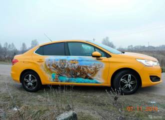 Образец цвета RAL 1006 JAUNE на автомобиле - №3