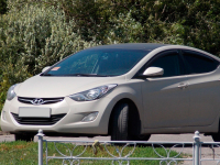 HYUNDAI P3W | MUSHROOM () 3