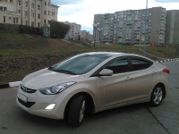 HYUNDAI P3W | MUSHROOM () 4