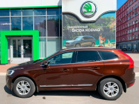 VOLVO 712 | RICH JAVA (爪哇棕, 醇咖色) 4