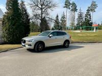 VOLVO 719 | LUMINOUS SAND (VENEZIAN MABLE, 燦爛銀, 耀目沙) 4