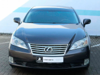 LEXUS 4T5 | SABLE (CRIOLLOBRAUN, GRANITE, 霧鐵灰, 黑貂色) 2