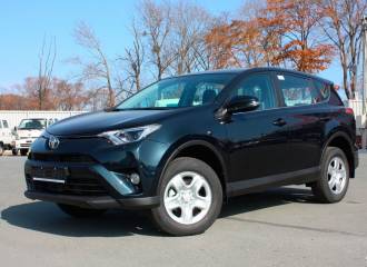 Образец цвета 1H2 DARK STEEL на автомобиле - №0