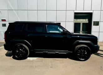 Образец цвета 172 ГАЛАКТИЧЕСКИЙ ЧЕРНЫЙ на автомобиле - №2