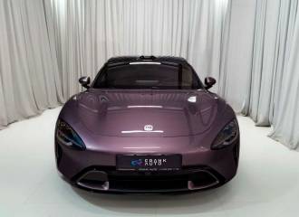 Образец цвета P01 PURPLE на автомобиле - №0