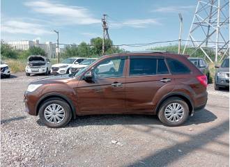 Образец цвета LFO DARK BROWN на автомобиле - №2