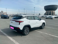 JAC WH1, ST15 | PEARL WHITE (БЕЛЫЙ, 白珍珠) 5