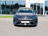 MOSKVITCH GR1, JS2 | RAPHIDE GREY (钛晶灰) 6