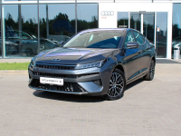 MOSKVITCH GR1, JS2 | RAPHIDE GREY (钛晶灰) 7