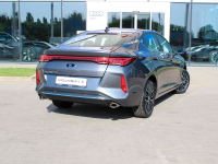 MOSKVITCH GR1, JS2 | RAPHIDE GREY (钛晶灰) 9