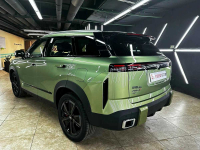 CHERY SP | LIGHT GREEN () 3