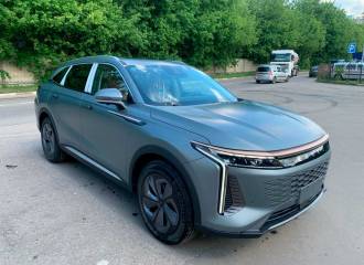 Образец цвета AUE LONGHORN GREY (MATTE) на автомобиле - №1