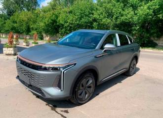 Образец цвета AUE LONGHORN GREY (MATTE) на автомобиле - №2