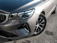 BELGEE C21 | MAGNETIC GREY () 15