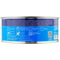 Шпатлевка SOLID GLAS наполнительная со стекловолокном (1кг) фото 1