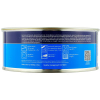 Шпатлевка SOLID MICRO GLAS наполнительная с микростекловолокном (1кг) фото 1